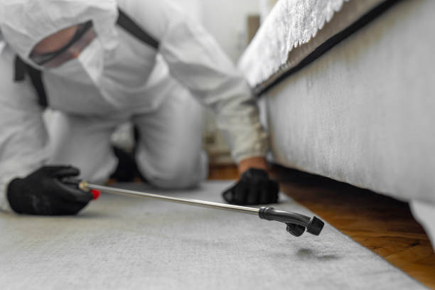 Professional Bed Bug Control technician working in Hauppauge, NY