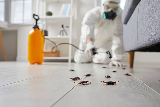 Trusted Fumigation Services service in Hauppauge, NY - Nex Pest Control